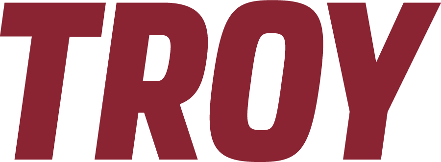 Troy Trojans 2019-Pres Wordmark Logo DIY iron on transfer (heat transfer)